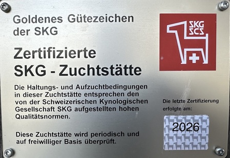 Goldenes Gütezeichen der SKG